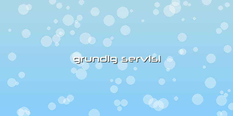 Grundig Servisi