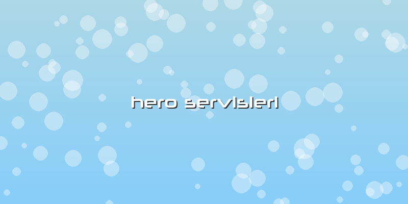 Hero Servisleri