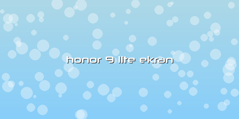 Honor 9 Lite Ekran
