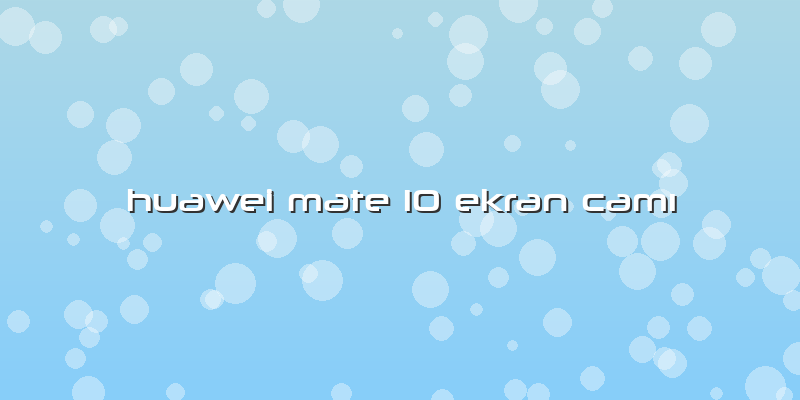 Huawei Mate 10 Ekran Camı