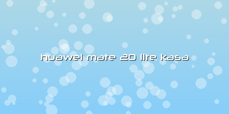 Huawei Mate 20 Lite Kasa