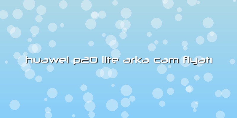 Huawei P20 Lite Arka Cam Fiyatı