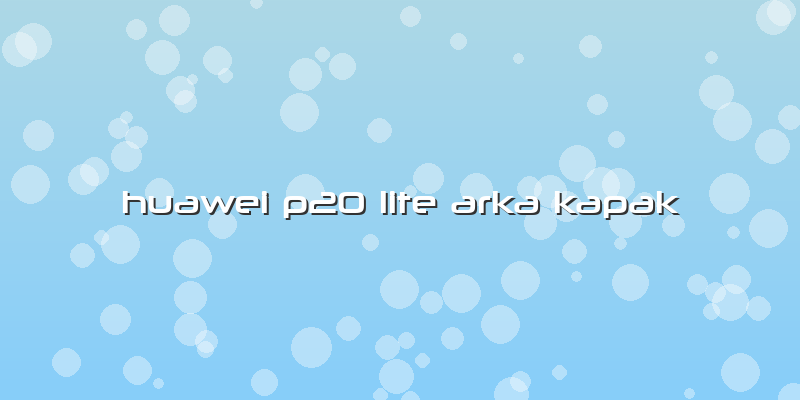 Huawei P20 Lite Arka Kapak