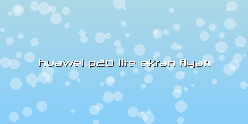 Huawei P20 Lite Ekran Fiyatı