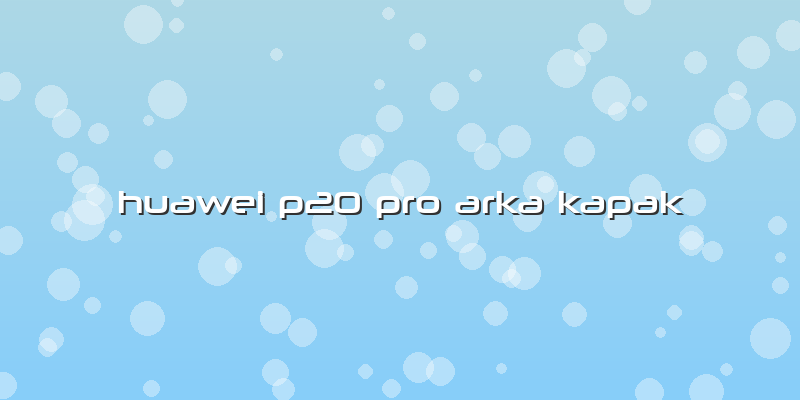 Huawei P20 Pro Arka Kapak