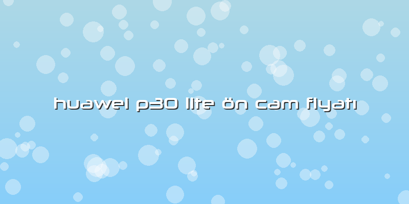 Huawei P30 Lite ön Cam Fiyatı