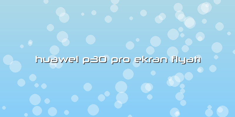 Huawei P30 Pro Ekran Fiyatı