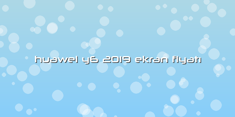 Huawei Y6 2019 Ekran Fiyatı