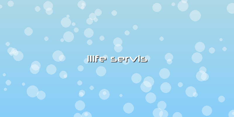 Ilife  Servis