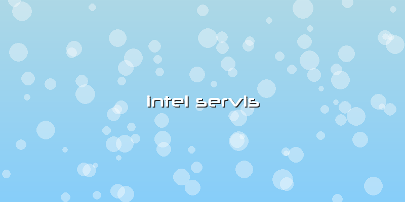 Intel Servis