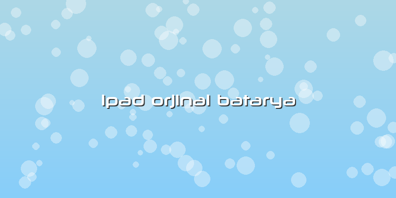 Ipad Orjinal Batarya