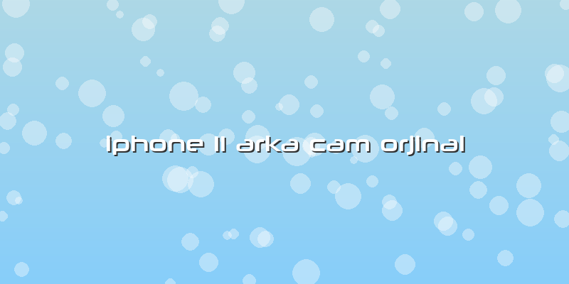 Iphone 11 Arka Cam Orjinal