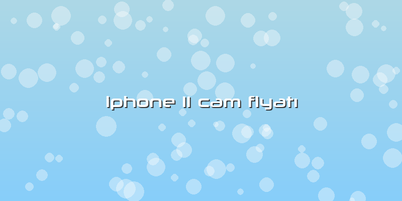 Iphone 11 Cam Fiyatı