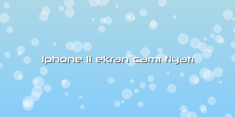 Iphone 11 Ekran Camı Fiyatı
