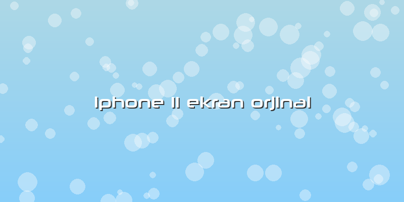 Iphone 11 Ekran Orjinal