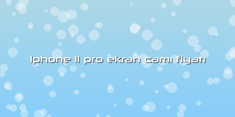 Iphone 11 Pro Ekran Camı Fiyatı