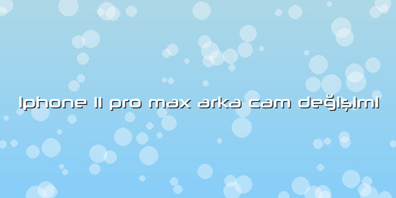 Iphone 11 Pro Max Arka Cam Değişimi