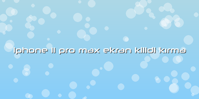 Iphone 11 Pro Max Ekran Kilidi Kırma
