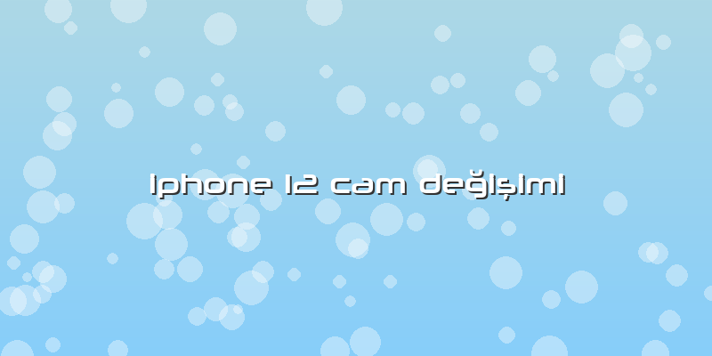 Iphone 12 Cam Değişimi
