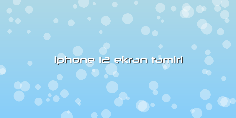 Iphone 12 Ekran Tamiri
