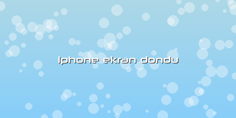Iphone Ekran Dondu