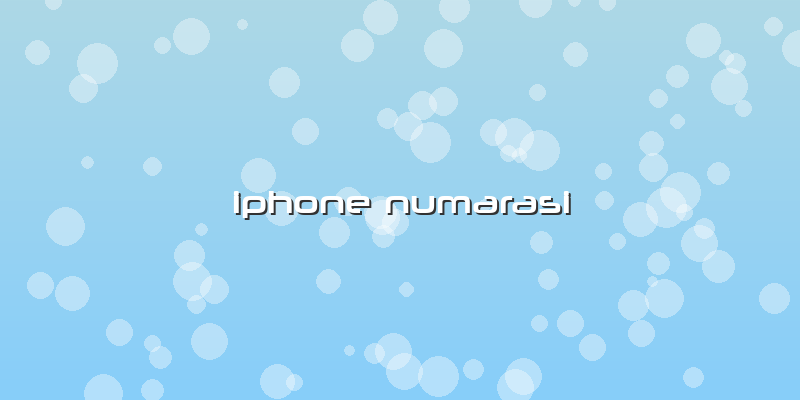 Iphone Numarasi