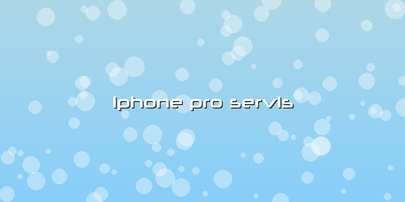 Iphone Pro Servis