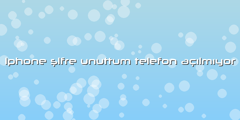 Iphone şifre Unuttum Telefon Açılmıyor