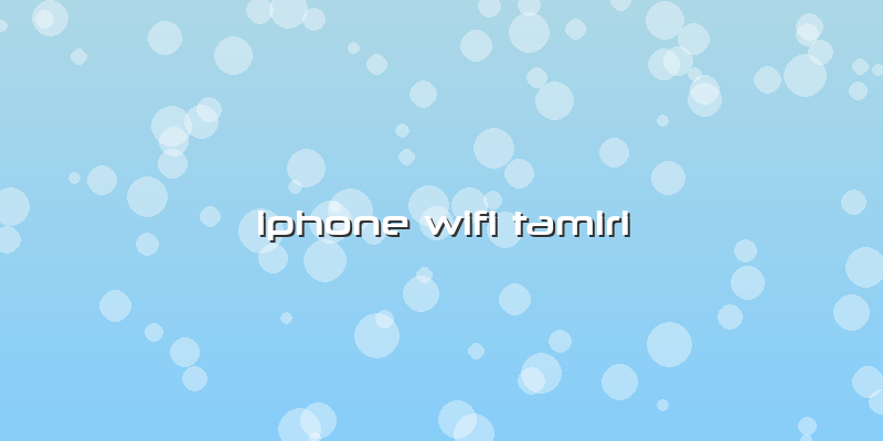 Iphone Wifi Tamiri