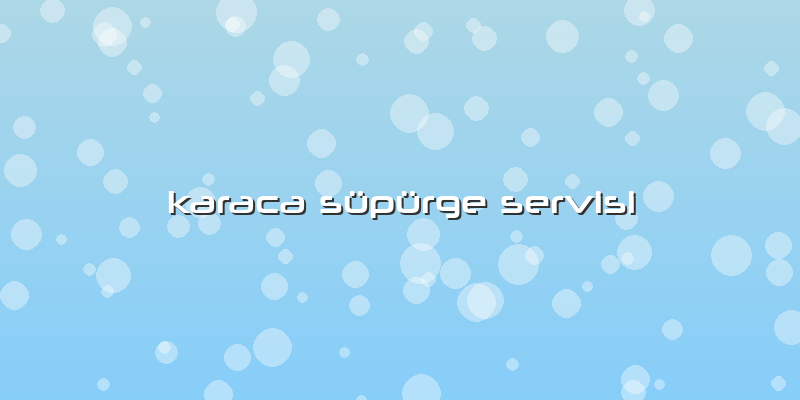 Karaca Süpürge Servisi