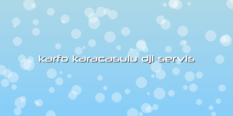 Karfo Karacasulu Dji Servis