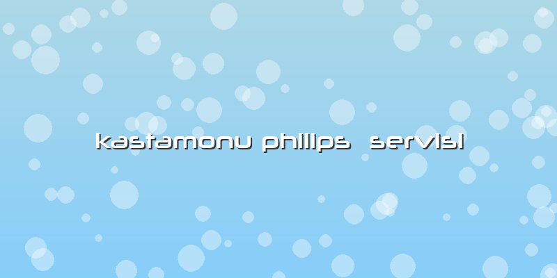 Kastamonu Philips  Servisi