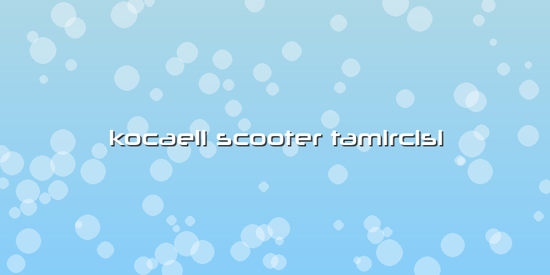 Kocaeli Scooter Tamircisi