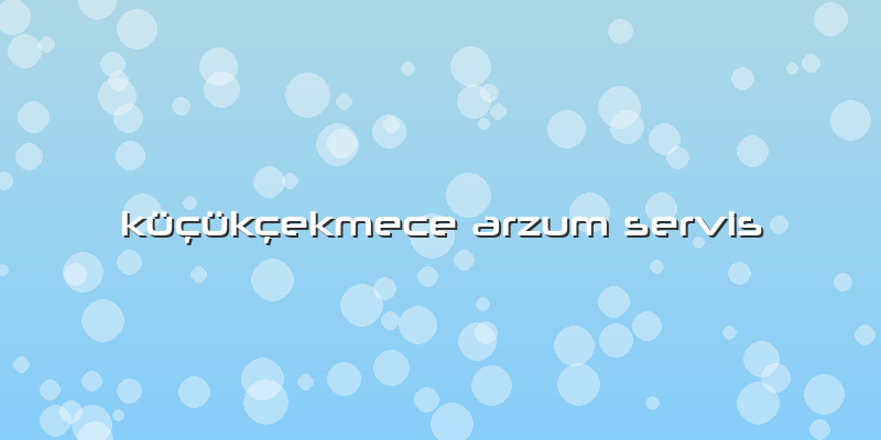 Küçükçekmece Arzum Servis