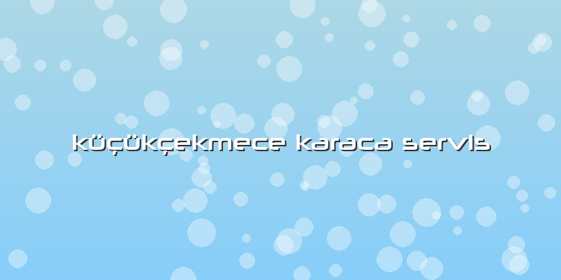 Küçükçekmece Karaca Servis