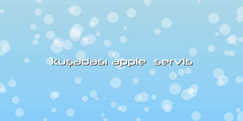 Kuşadası Apple  Servis