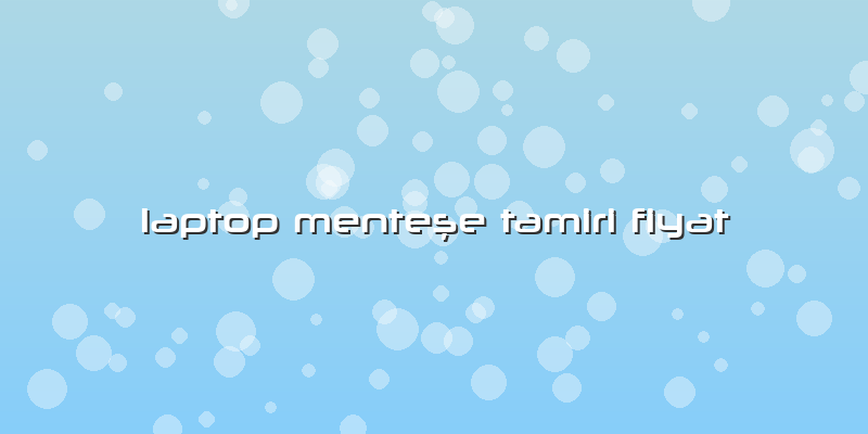 Laptop Menteşe Tamiri Fiyat