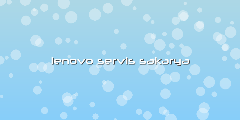Lenovo Servis Sakarya