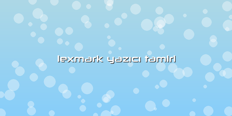 Lexmark Yazıcı Tamiri