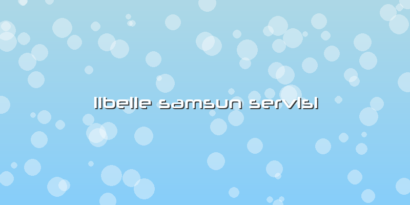 Libelle Samsun Servisi