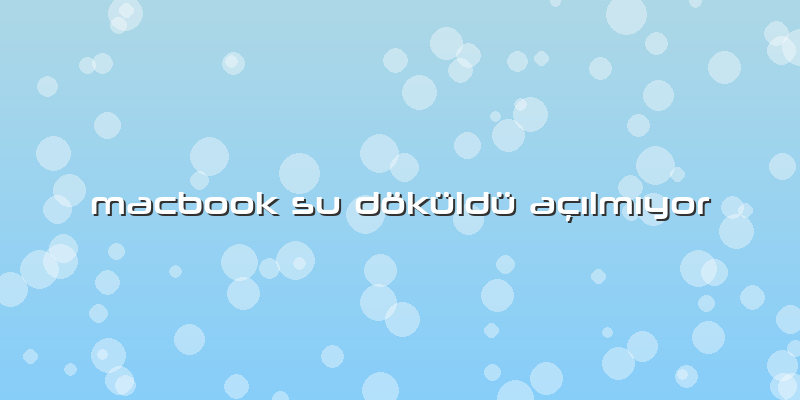 Macbook Su Döküldü Açılmıyor