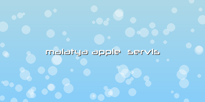 Malatya Apple  Servis