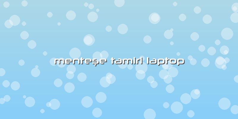 Menteşe Tamiri Laptop