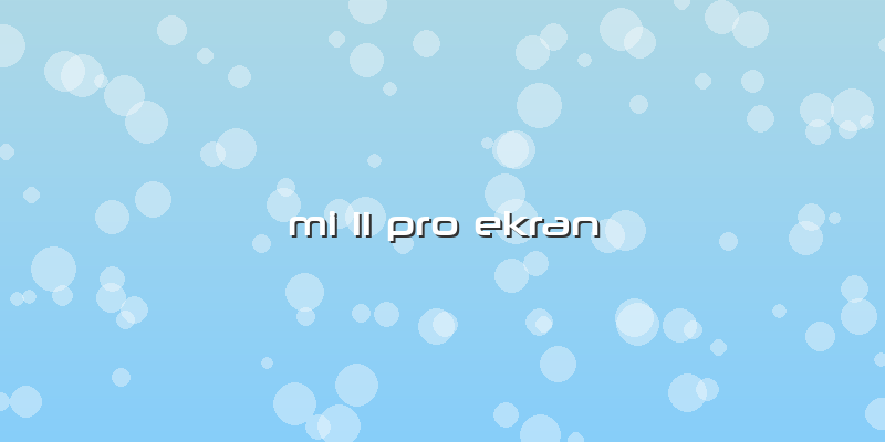 Mi 11 Pro Ekran