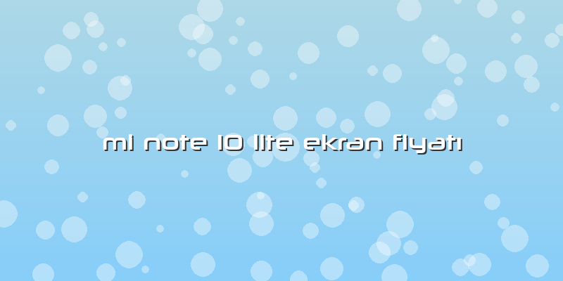 Mi Note 10 Lite Ekran Fiyatı