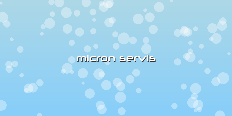 Micron Servis