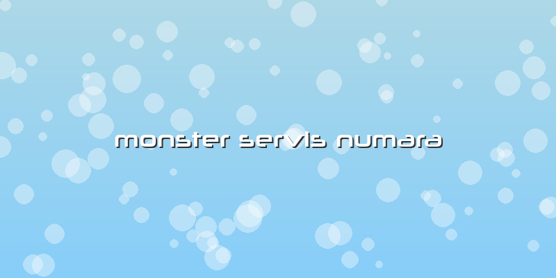 Monster Servis Numara