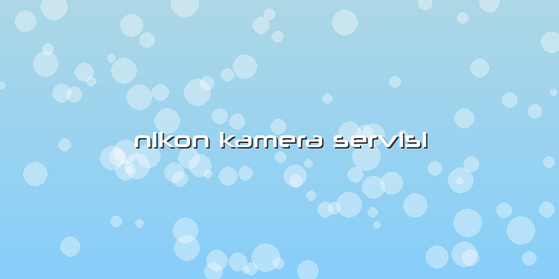 Nikon Kamera Servisi