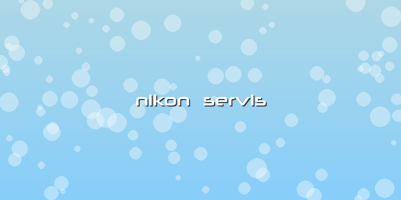 Nikon Servis