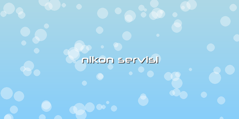 Nikon Servisi